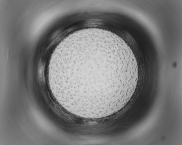 X0000115251054200912111112