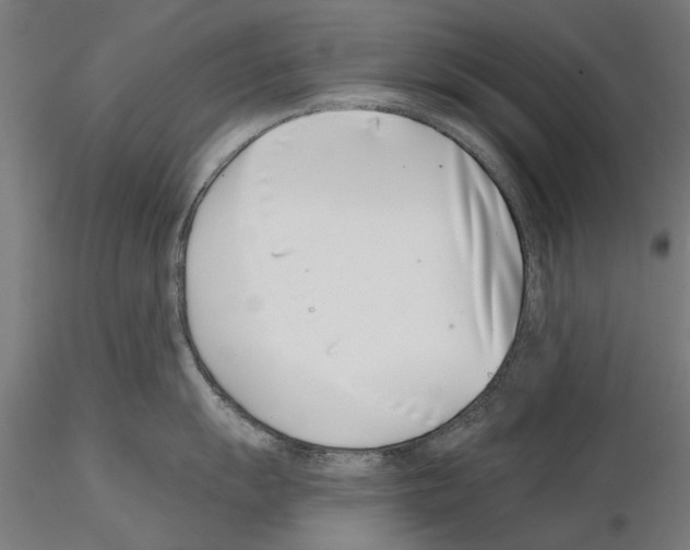 X0000115251055200912111112