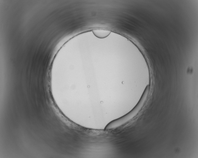 X0000115251056200912111112