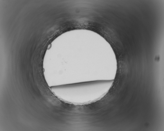 X0000115251057200912111112