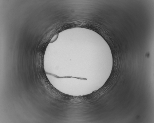 X0000115251058200912111112