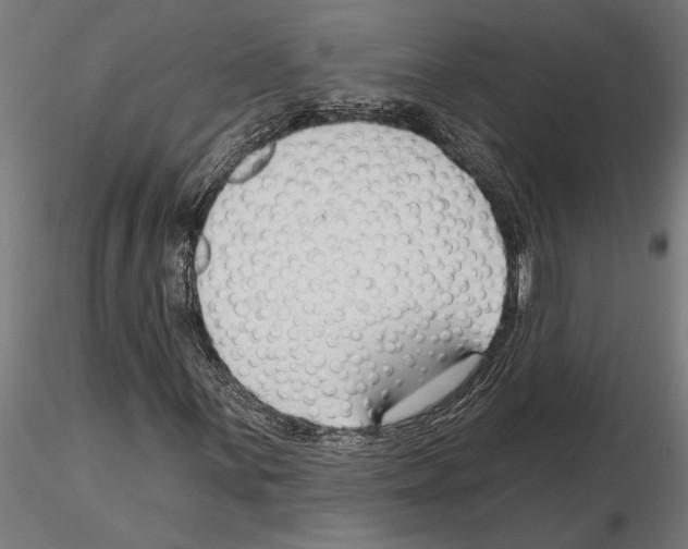 X0000115251059200912111112