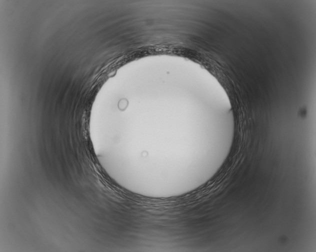 X0000115251060200912111111