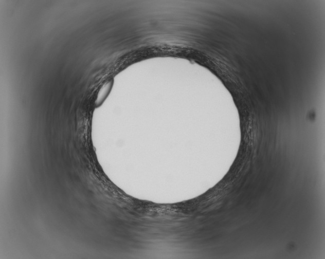 X0000115251061200912111111