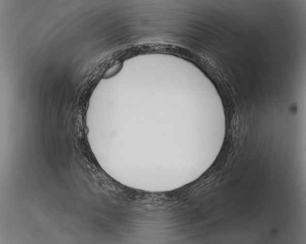 X0000115251062200912111111