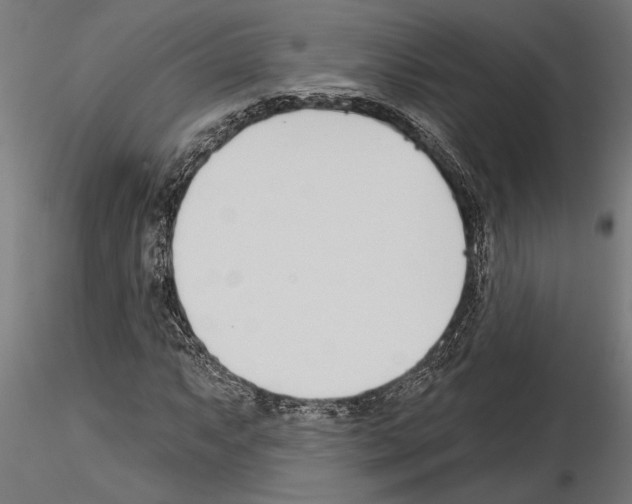 X0000115251063200912111111