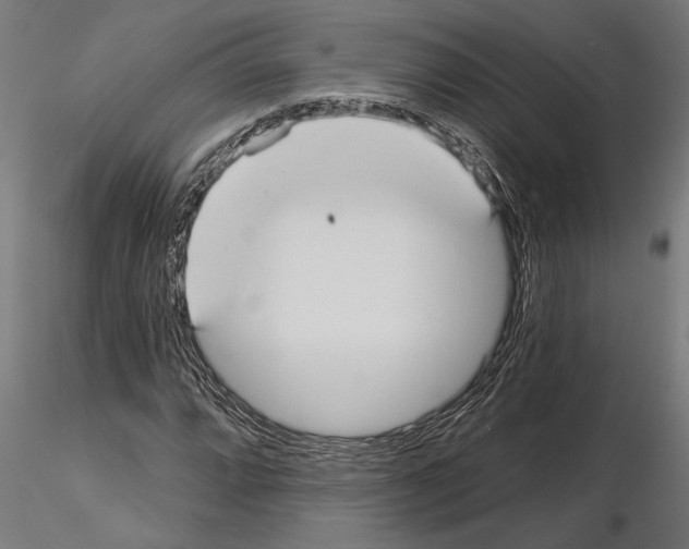 X0000115251064200912111111