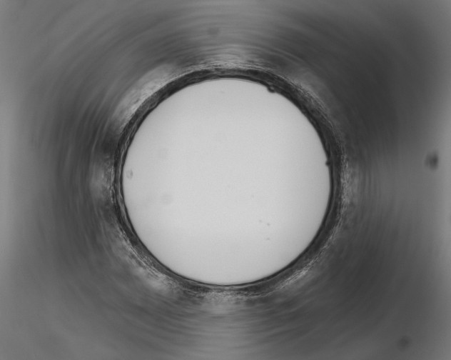 X0000115251065200912111111