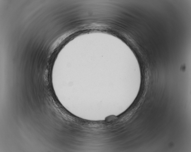 X0000115251066200912111111