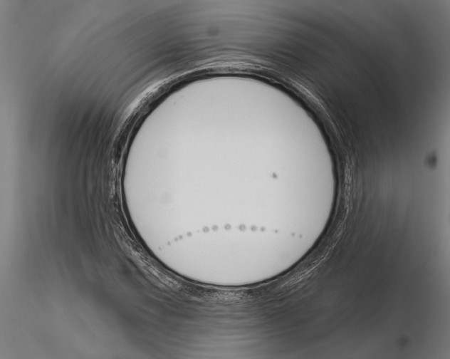 X0000115251067200912111111