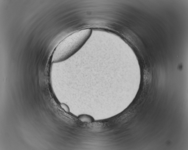 X0000115251068200912111111