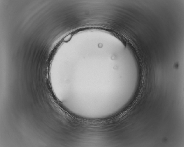 X0000115251069200912111111