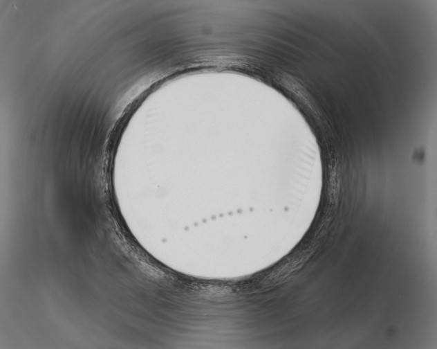 X0000115251071200912111111