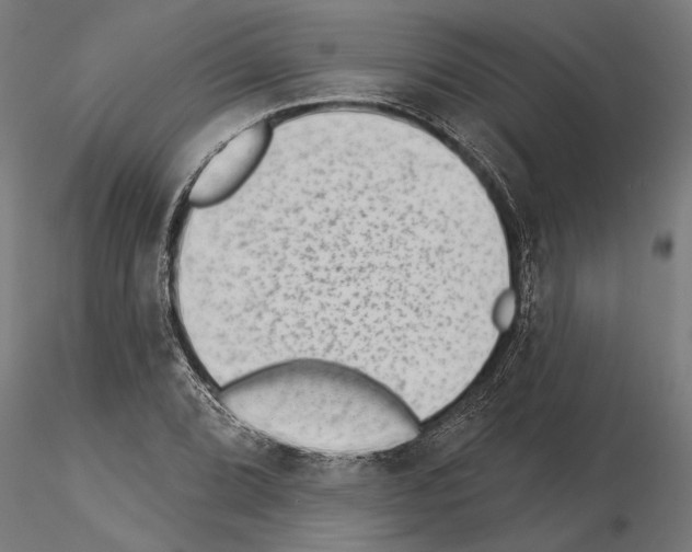 X0000115251072200912111111