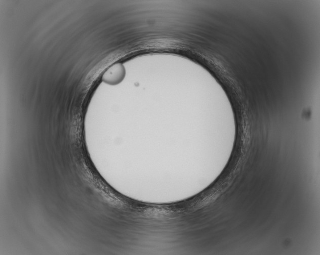 X0000115251073200912111111