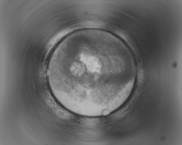 X0000115251074200912111111