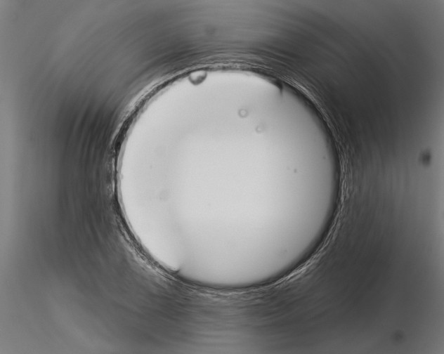 X0000115251075200912111111