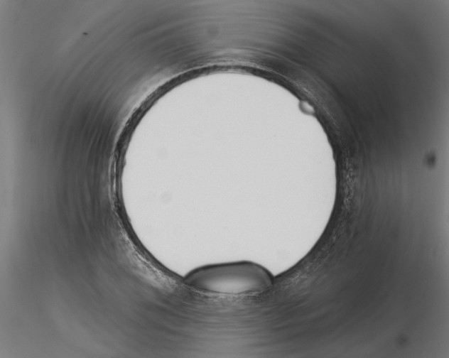 X0000115251076200912111111