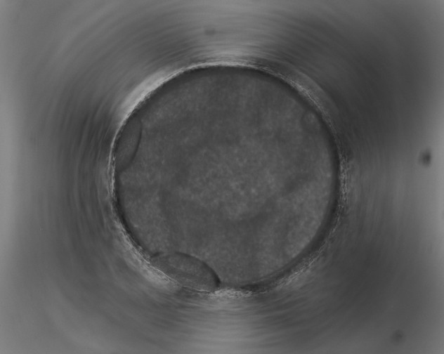 X0000115251077200912111111