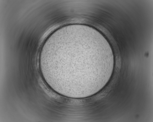 X0000115251078200912111111