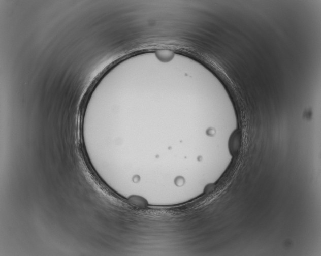 X0000115251079200912111111