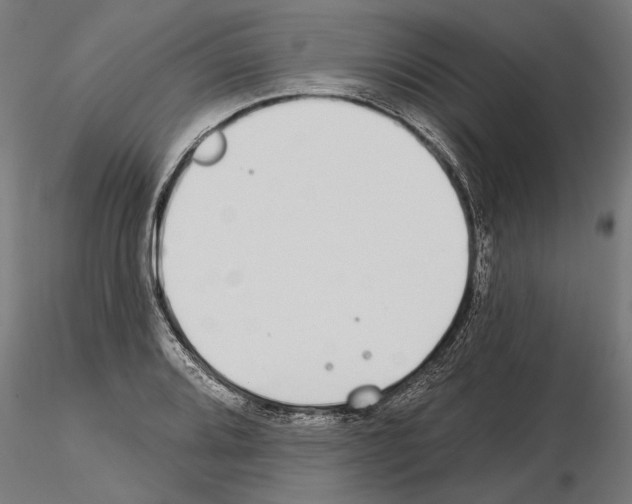 X0000115251080200912111111