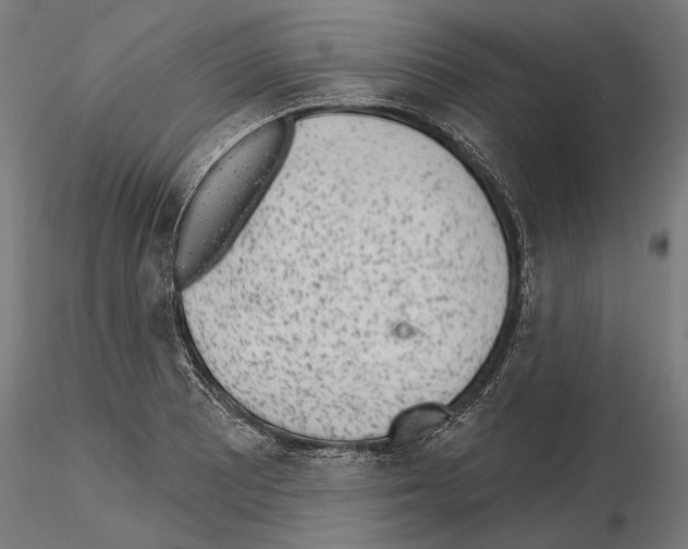 X0000115251081200912111111