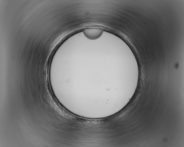 X0000115251082200912111111