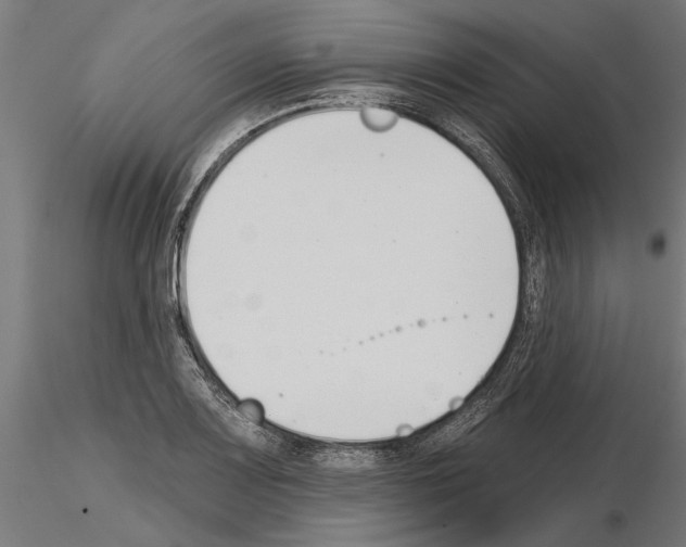 X0000115251083200912111111