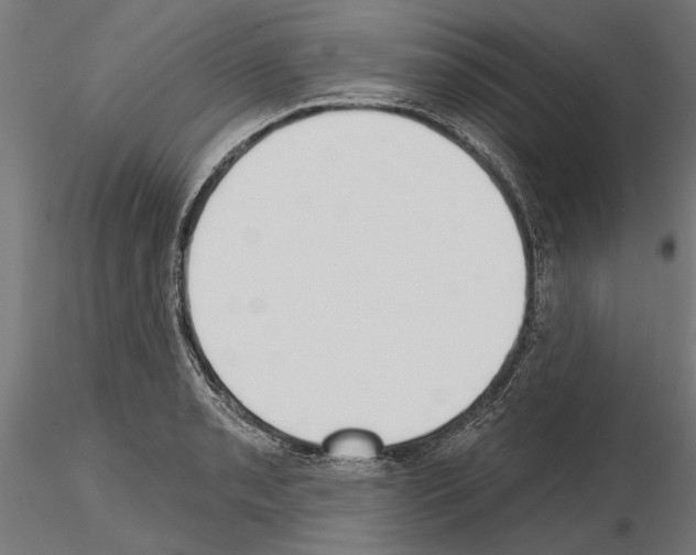 X0000115251085200912111111