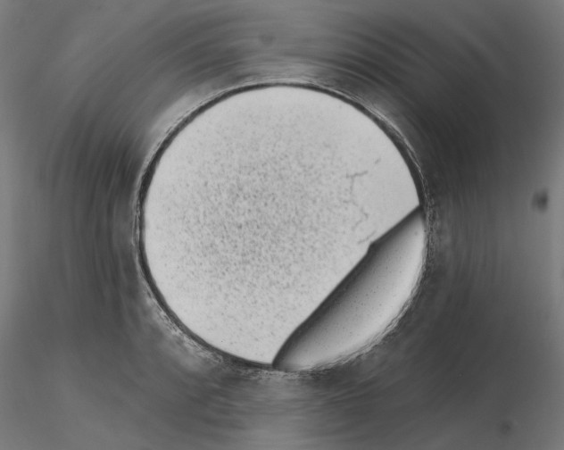 X0000115251088200912111111