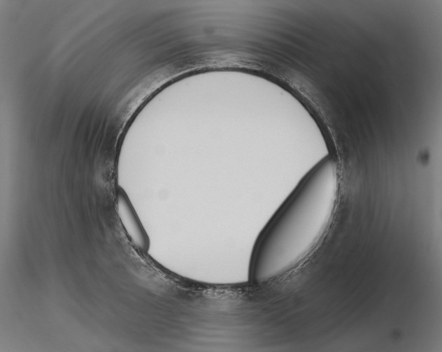 X0000115251089200912111111