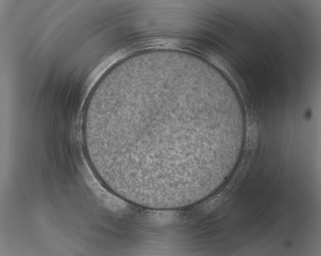 X0000115251090200912111111