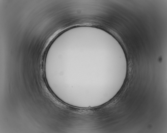 X0000115251091200912111111