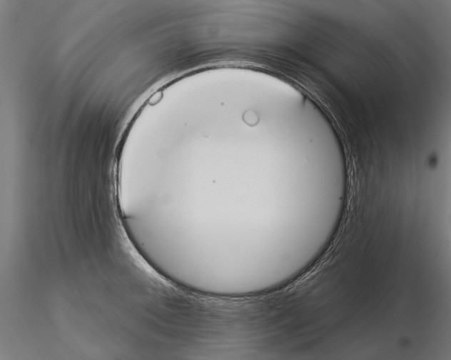 X0000115251092200912111111