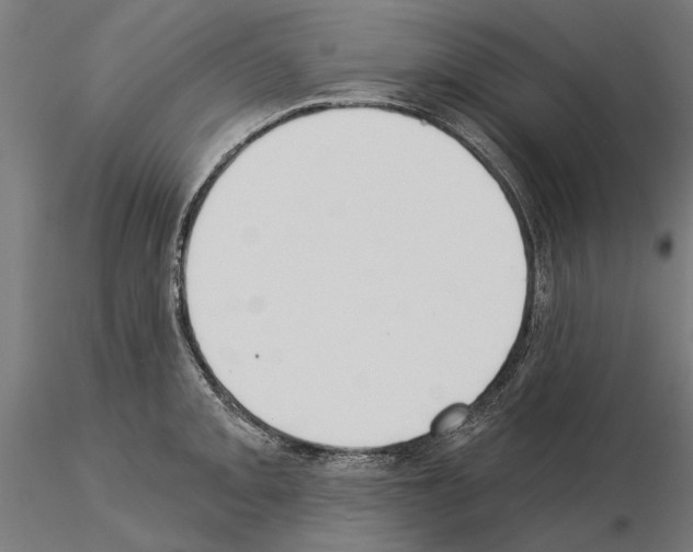 X0000115251093200912111111