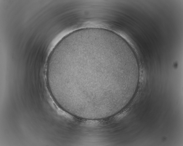 X0000115251094200912111111