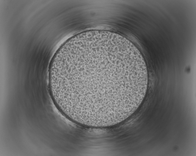 X0000115251095200912111111