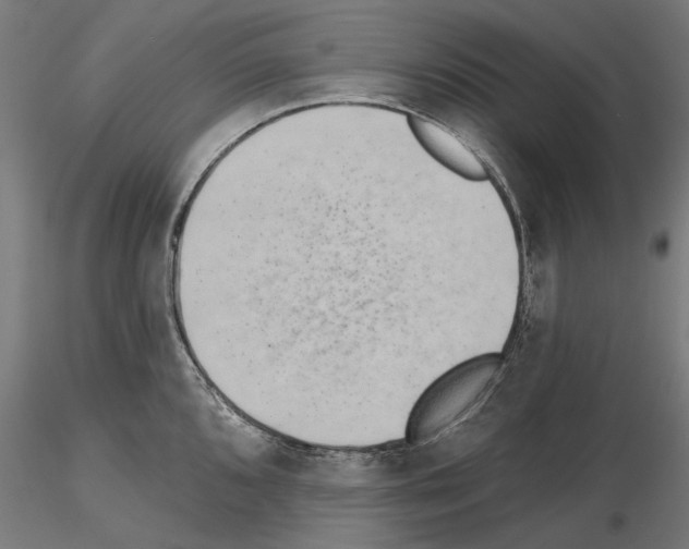 X0000115251096200912111111