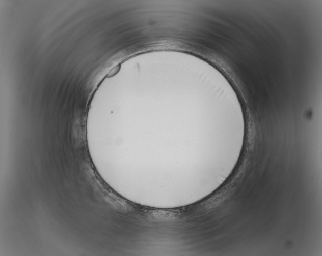 X0000115251097200912111111