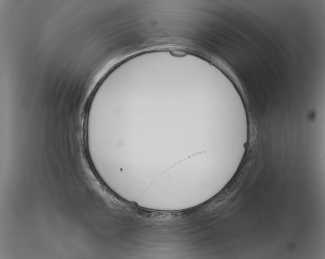 X0000115251099200912111111