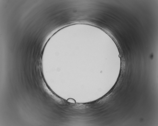 X0000115251100200912111111