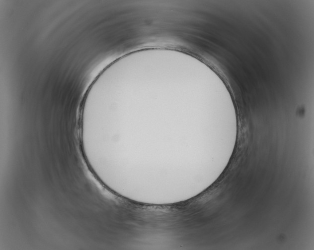 X0000115251103200912111111