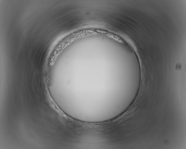 X0000115251104200912111111