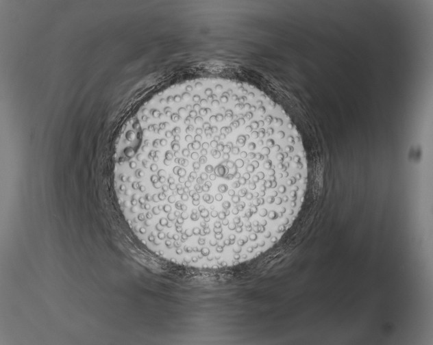 X0000115251105200912111110