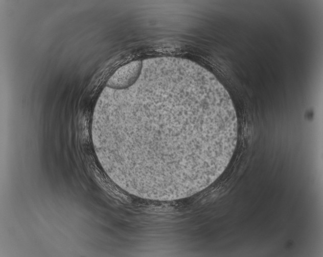 X0000115251106200912111110