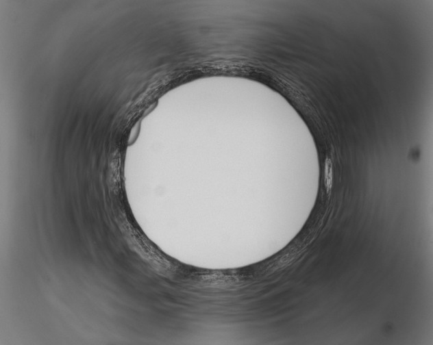 X0000115251107200912111110