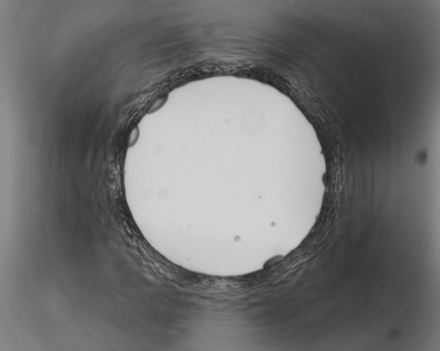 X0000115251109200912111110