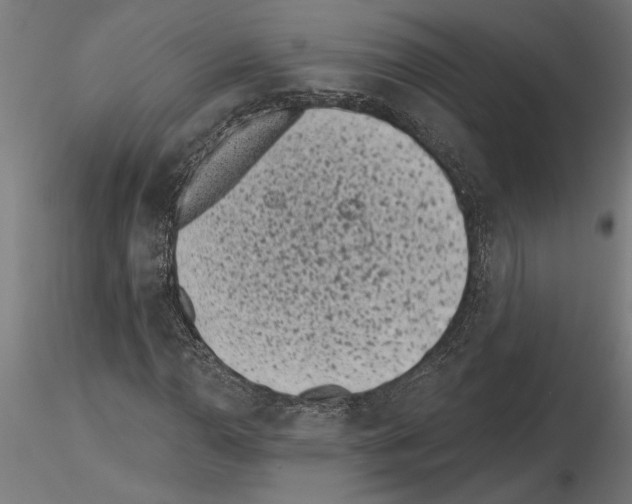 X0000115251110200912111110