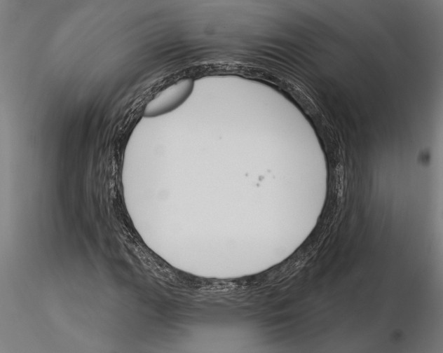 X0000115251111200912111110